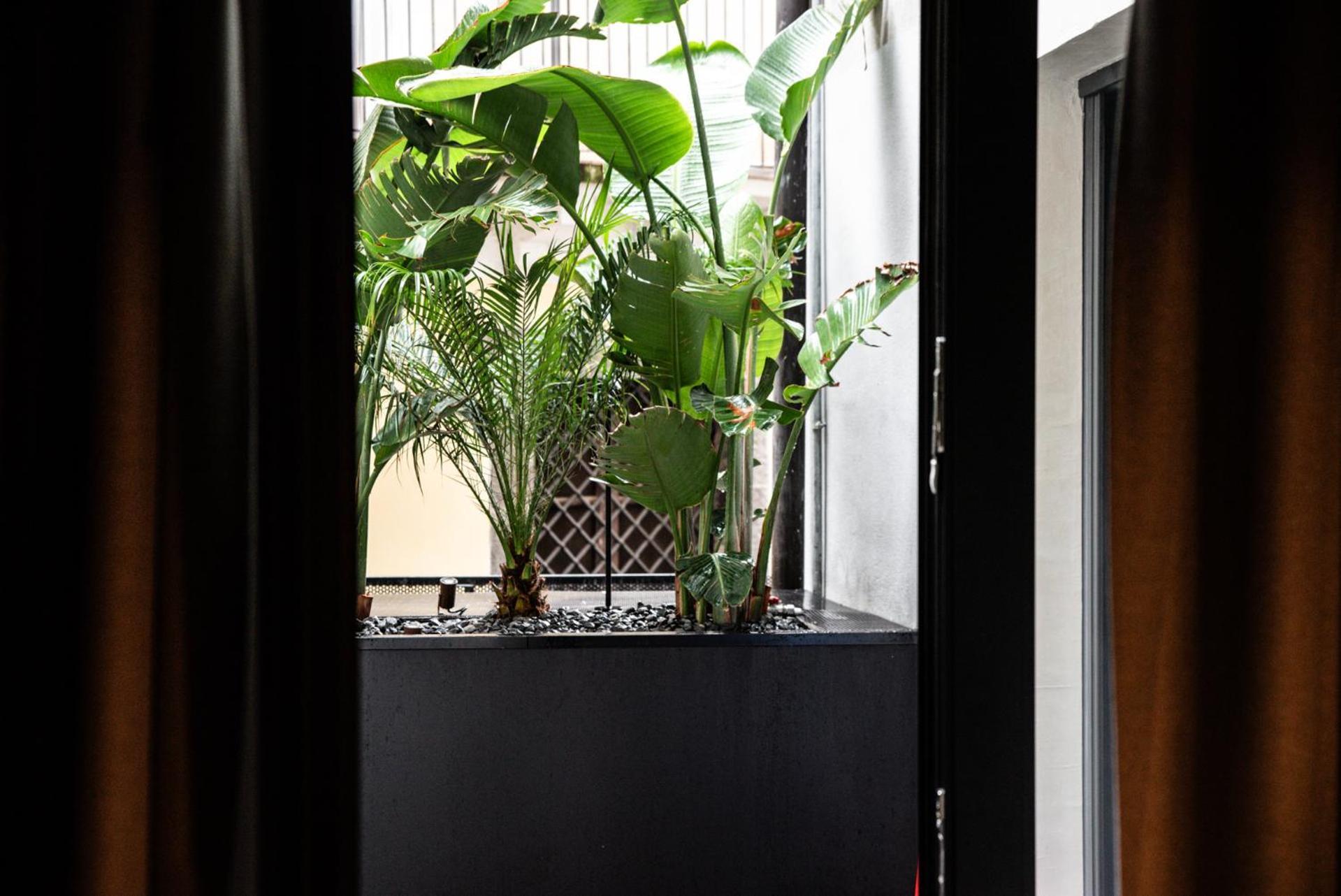 Terme Di Bacco - Design Apartaments And Spa カターニア エクステリア 写真